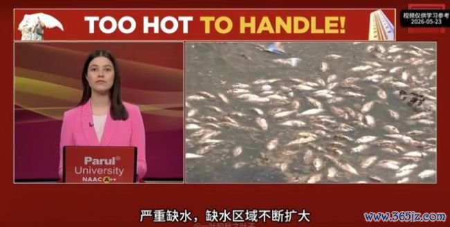 大V:印度电力被48度高温击穿 制造业好意思梦落空