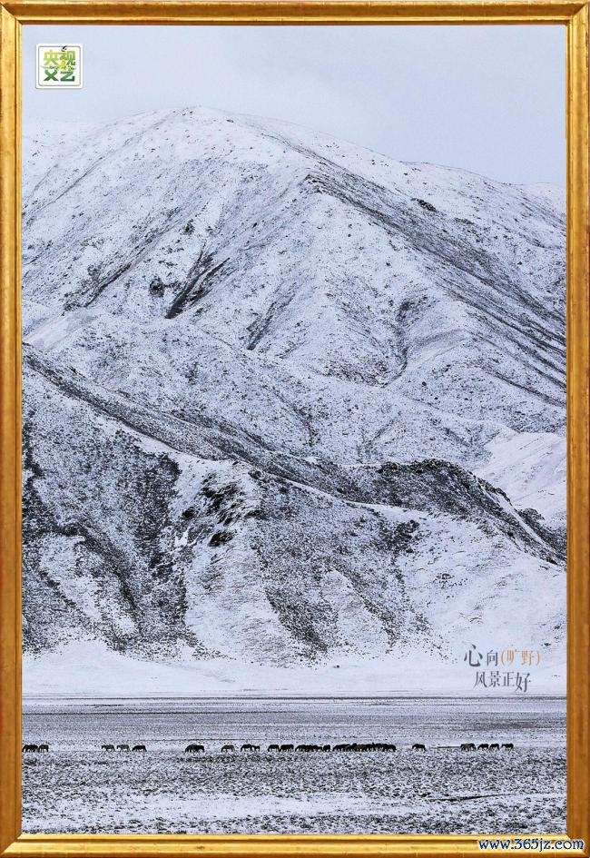 最好意思独库公路龙虎下载2026最新版还原通车，感受一日四季的幻化