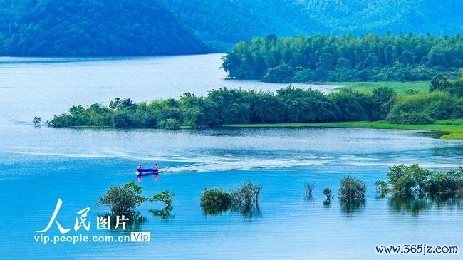 江西樟树：防守一泓碧水