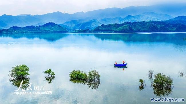 江西樟树：防守一泓碧水