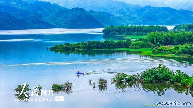 江西樟树：防守一泓碧水
