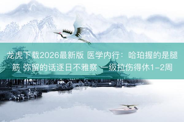 龙虎下载2026最新版 医学内行：哈珀握的是腿筋 弥留的话逐日不雅察 一级拉伤得休1-2周